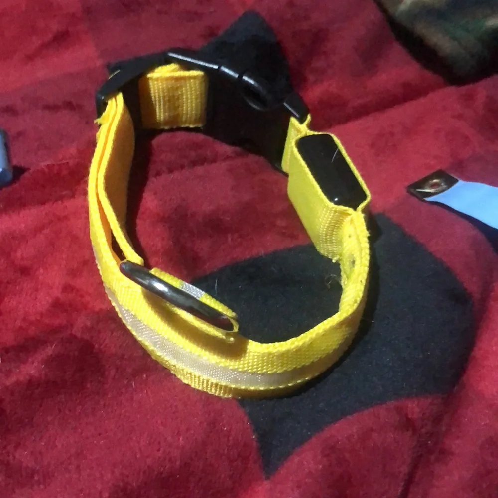 🛍Light up Dog collar with ring.‎